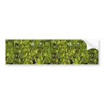 Beautiful Pebbles from Papakolea, Hawaii Bumper Stickers