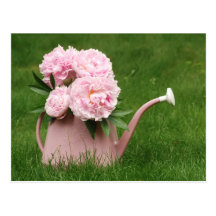 Beautiful peonies in a watering can post cards