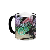 Beautiful Photo Starfish and Anemones Coffee Mug