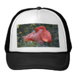 Beautiful Pink Flamingo Apparel Trucker Hats