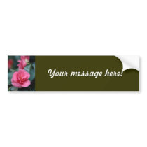 Beautiful Pink Flower bumper stickers