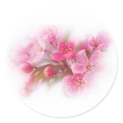 Beautiful pink flowers sticker by Ceyzpurplestang