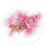 Beautiful pink flowers stickers