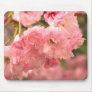 Beautiful Pink Mousepad!