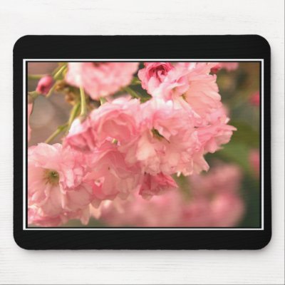 Beautiful Pink Mousepad! (with border) by zolojetto