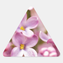 Beautiful Pink Orchid Flowers Sticker