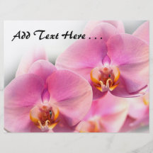 Beautiful Pink Orchids on a Soft Background Full Color Flyer