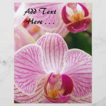 Beautiful Pink Orchids on a Soft Background Flyer