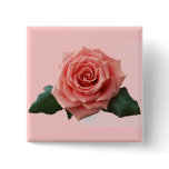 Beautiful 'Pink Rose' Flower