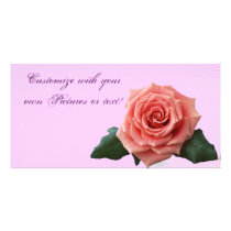 Beautiful 'Pink Rose' Flower