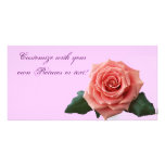 Beautiful 'Pink Rose' Flower photo cards