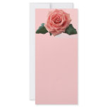Beautiful 'Pink Rose' Flower