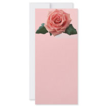 Beautiful 'Pink Rose' Flower