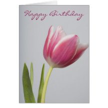 Beautiful Pink Tulip Cards