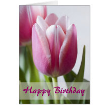 Beautiful Pink Tulip, Happy Birthday Greeting Card