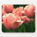 Beautiful Pink Tulip Mousepad!