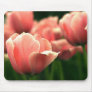 Beautiful Pink Tulip Mousepad!