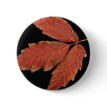 Beautiful Poison Ivy leaves Pinback Buttons