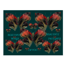 BEAUTIFUL! Post Card