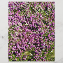 Beautiful Purple Flower Blossoming On A Sunny Day Full Colour Flyer