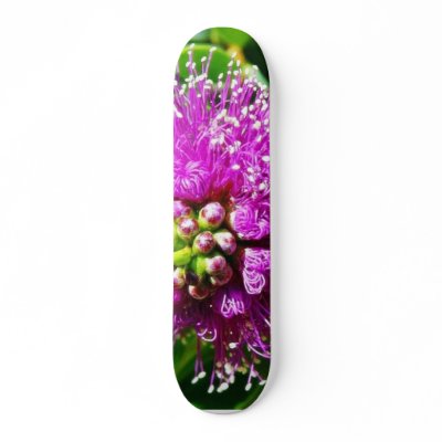 Beautiful Purple Flower Skate Board Decks by lifesphere