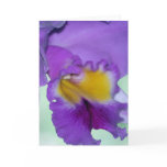 Beautiful purple orchid flower cards