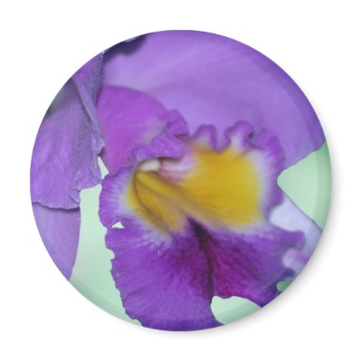 Beautiful purple orchid flower fridge magnet by TheScenicRoute