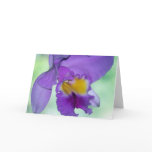 Beautiful purple orchid flower greeting card