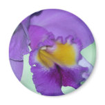 Beautiful purple orchid flower magnets