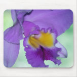 Beautiful purple orchid flower mousemat
