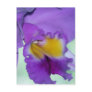 Beautiful purple orchid flower post cards