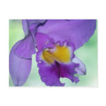 Beautiful purple orchid flower postcard
