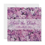 Beautiful Purple Phlox Flower Announcements invitations