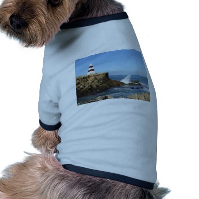 Beautiful Pyramid Light House With Red Strips Dog Clothing by animalpark