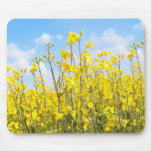 Beautiful rape fields close up against blue sky mousepads