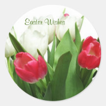 Beautiful! Red and White Tulips Stickers