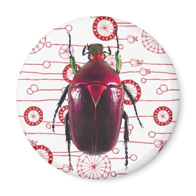 Beautiful Red Beetle On Retro Floral Refrigerator Magnets by JuJuGarden