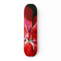 Beautiful Red Flower In Balboa Park skateboards