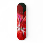 Beautiful Red Flower In Balboa Park skateboards