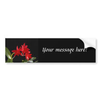 Beautiful Red Flowers bumper stickers