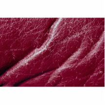Beautiful Red Leather Photo Cutout