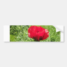 Beautiful Red Poppy Bumper Sticker