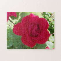 Beautiful Red Rose puzzles