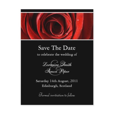 Beautiful Red Rose Save The Date Postcard by claire_shearer