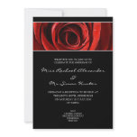 Beautiful Red Rose Wedding Invitiation- Black Announcement