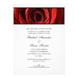 Beautiful Red Rose Wedding Invitiation -White Announcement