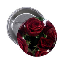 BEAUTIFUL RED ROSES PINBACK BUTTON