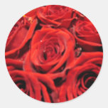 Beautiful red roses sticker