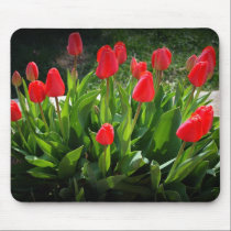 Beautiful Red Tulips mousepads