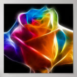 Beautiful Rose of Colors 2 Posters